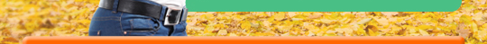 Fibra de Orange